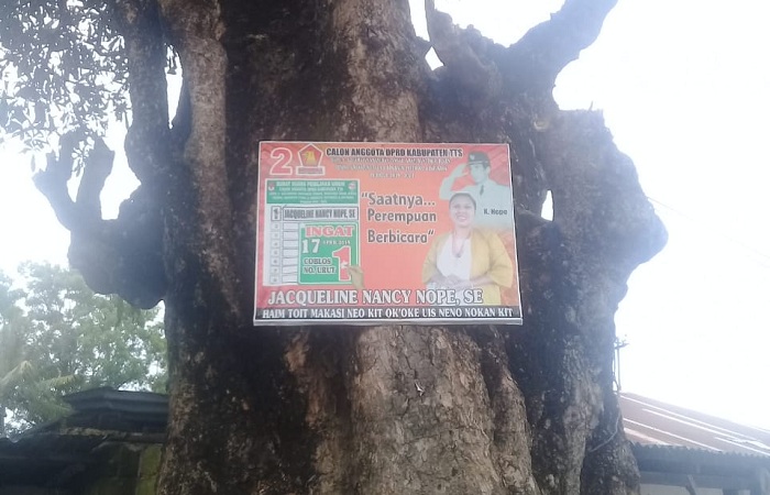 Gantung Baliho di Pohon dan Tiang Listrik, Bawaslu TTS Bakal Tertibkan - VoxNtt.com