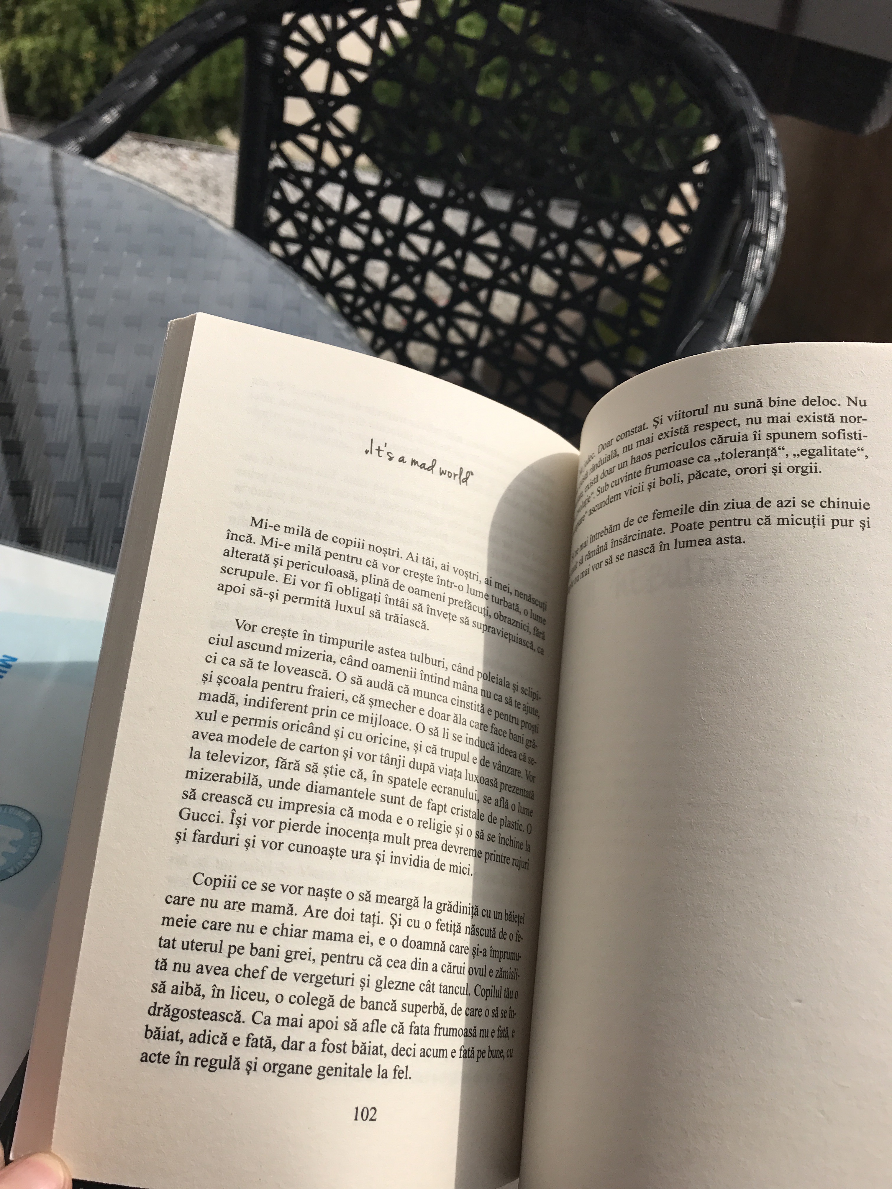 Recenzie Diana Cu Vanilie Bloggersread Vox Of Vanity