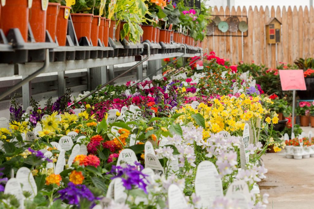 Meet Sarah Beach of Sunshine Garden Center in South Suburbs Voyage