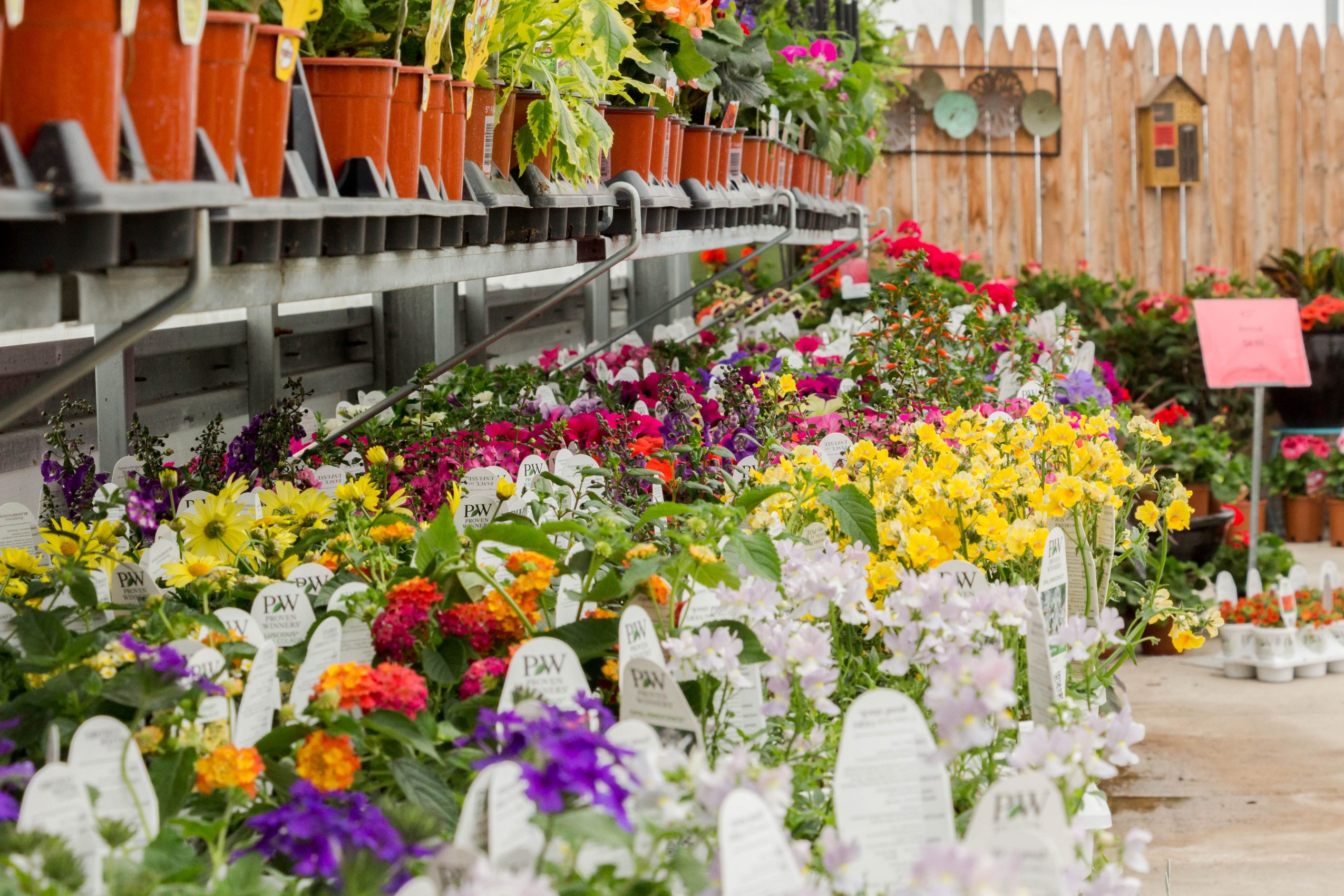Meet Sarah Beach of Sunshine Garden Center in South Suburbs Voyage