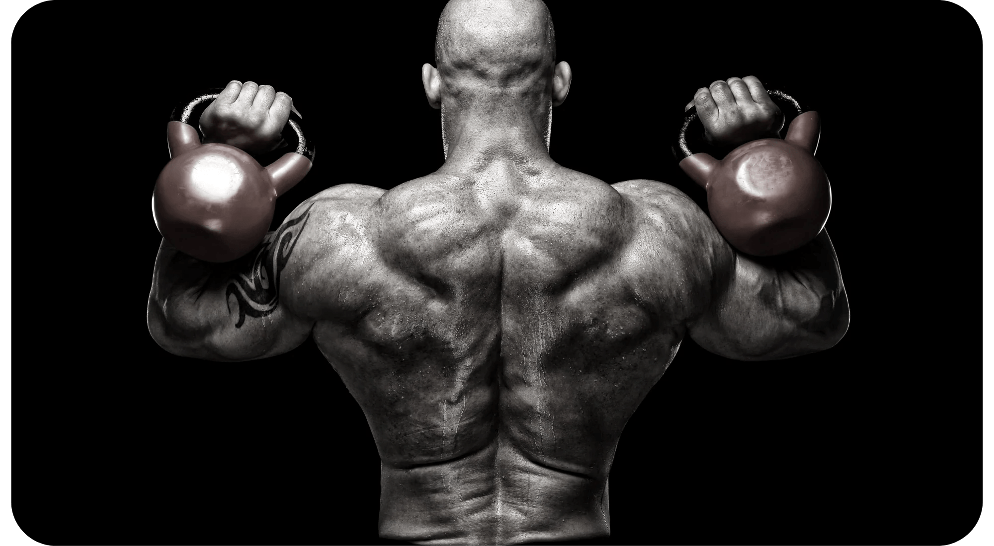 The Power of the Press Military Press vs Overhead Press vs Incline