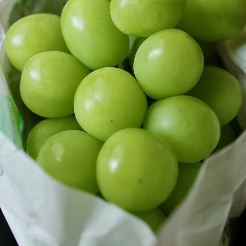 Japanese Fruits in Summer What to Buy?