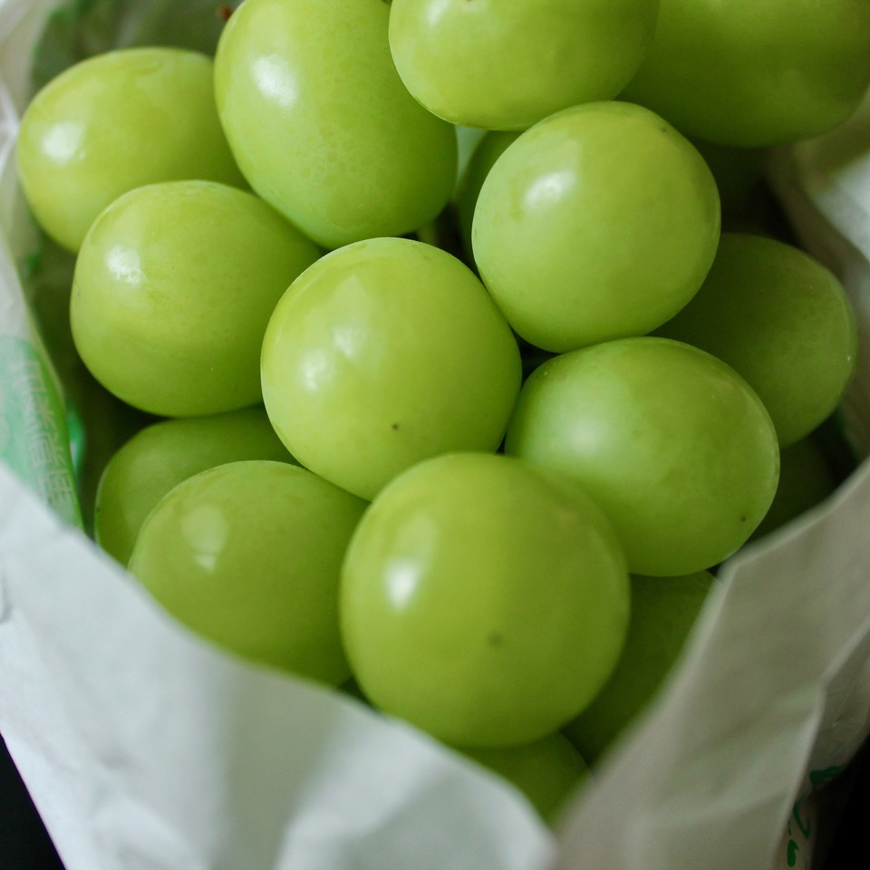 Japanese Fruits in Summer What to Buy?