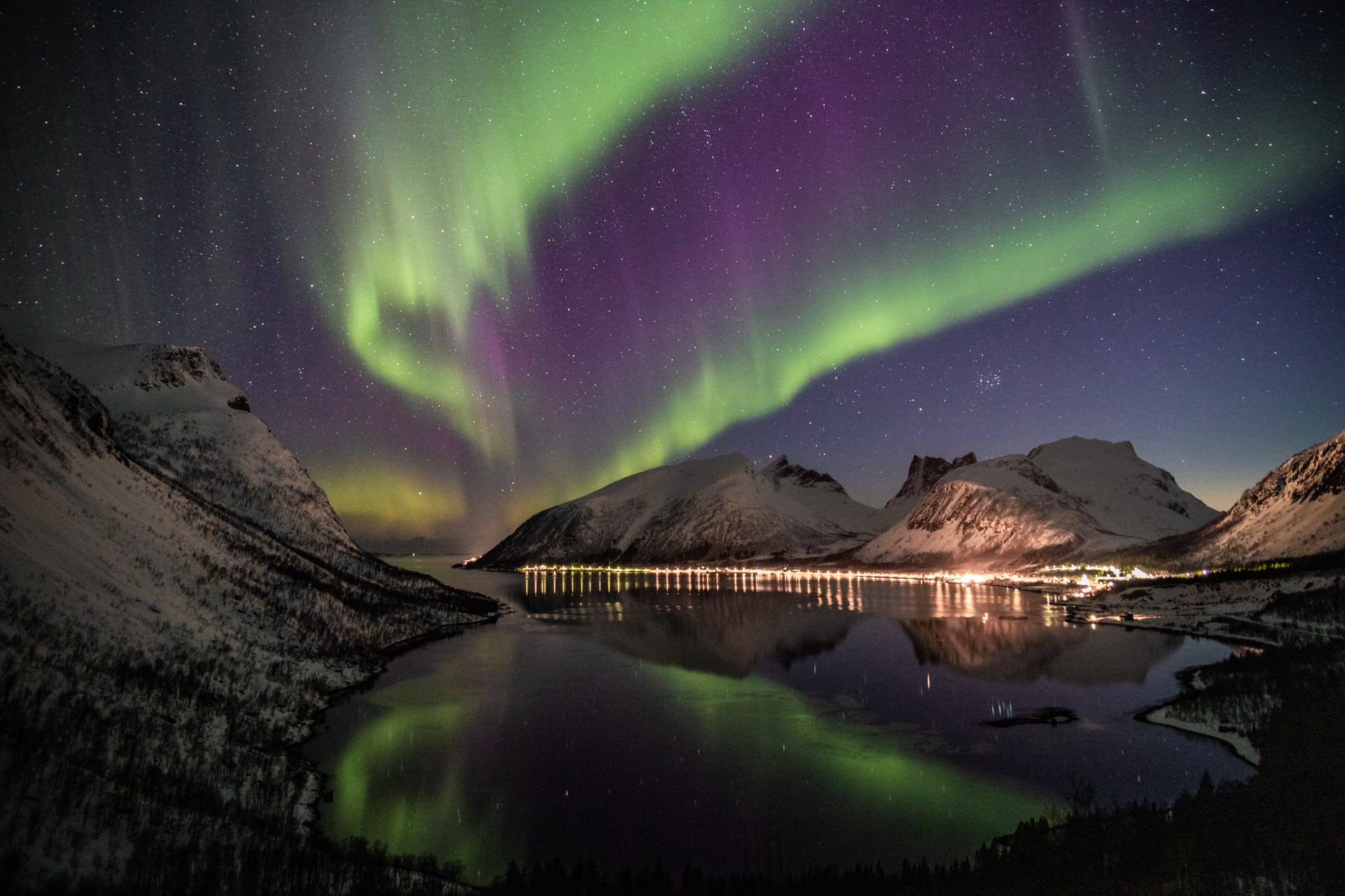 Livestream the Northern Lights from home — Voyazor Cheap Flights