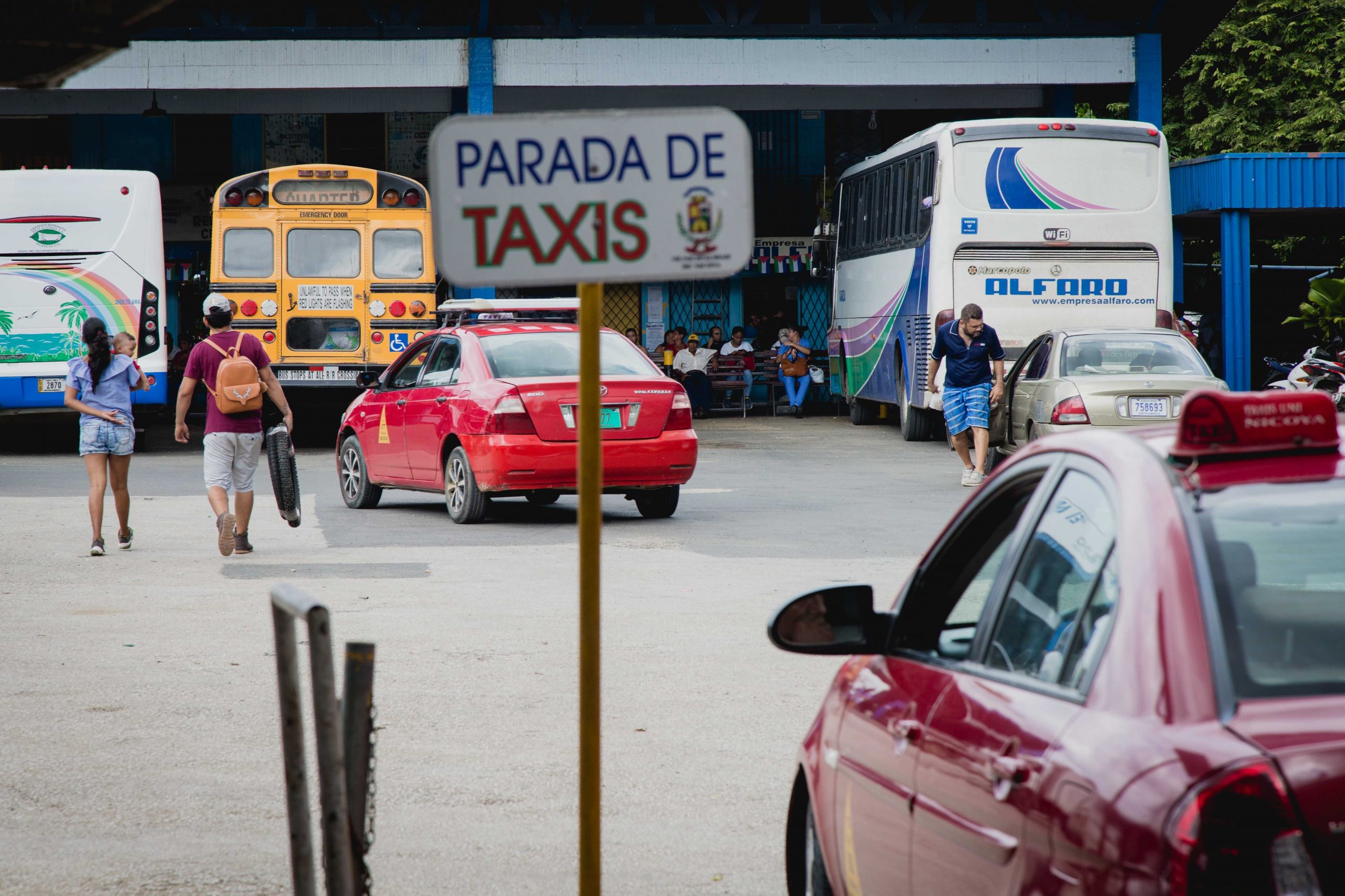 The law bans pets in public transportation, will this ever change?