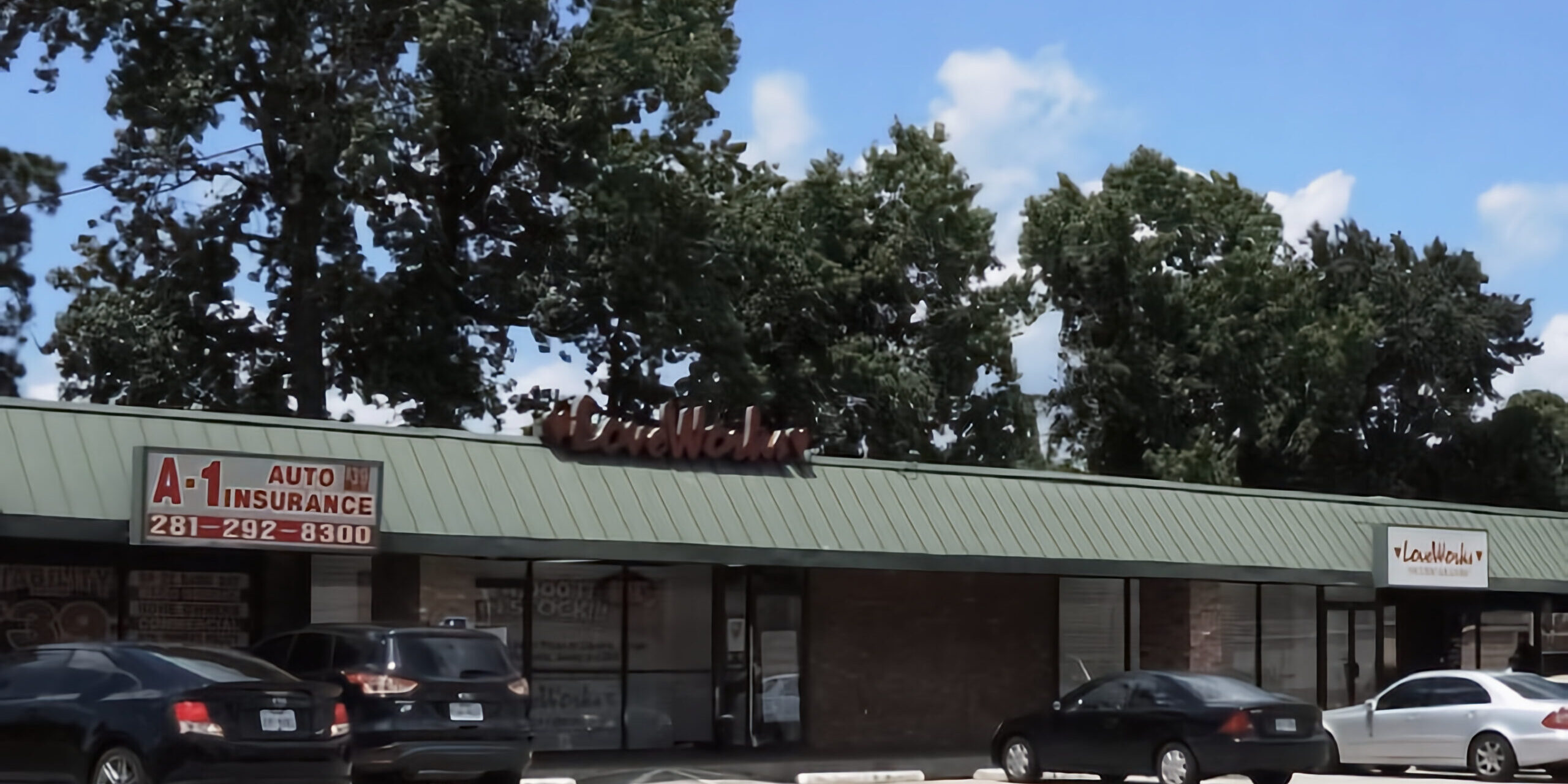 RAYFORD FOREST SHOPPING CENTER VANTAGE POINT REAL ESTATE GROUP, LP