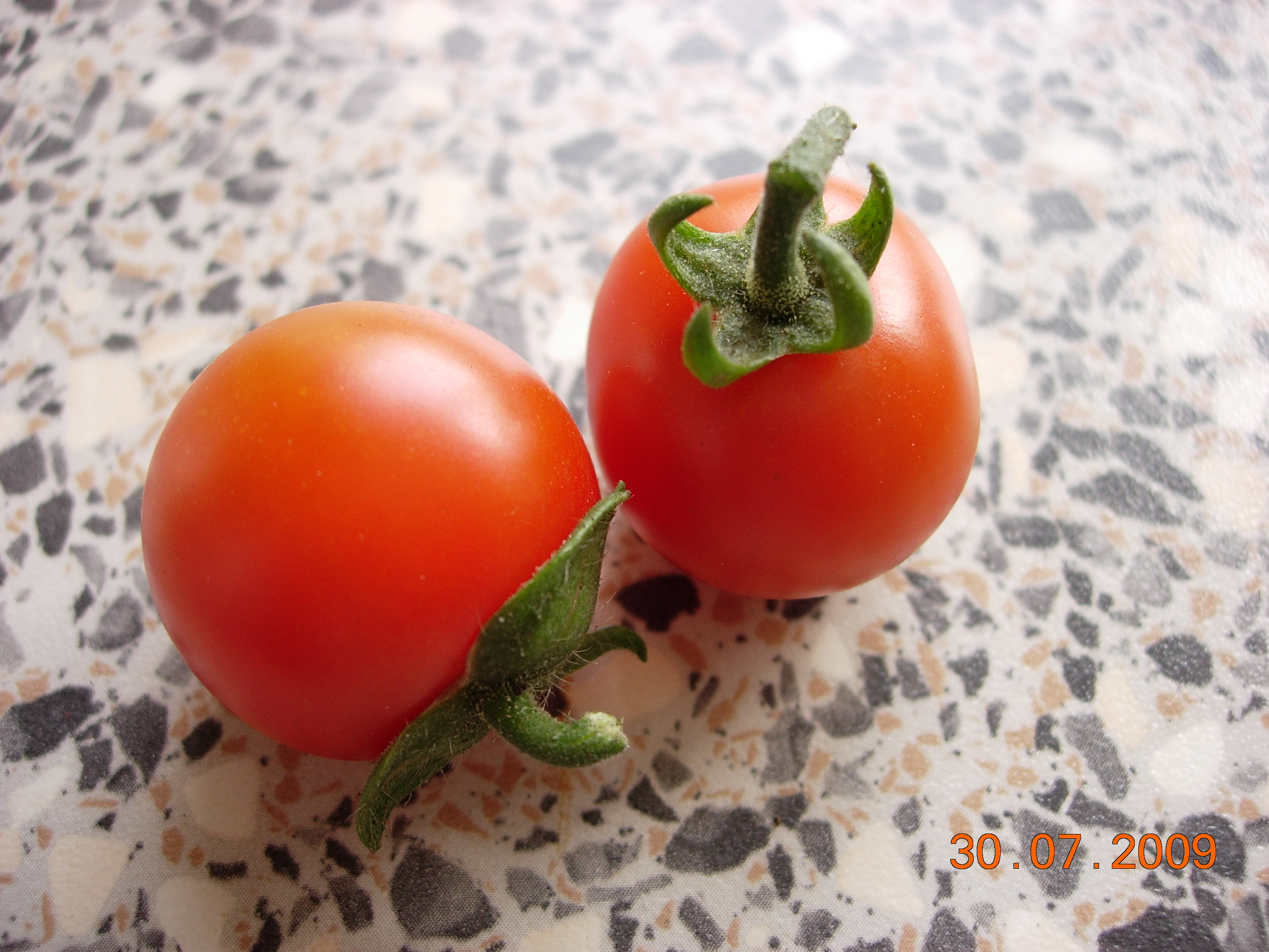 Food for thought Just Me