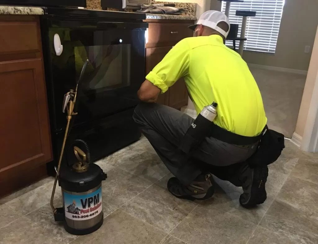 Welcome to Pest Solutions Plus