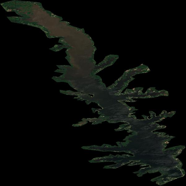 Toledo Bend Reservoir, TX water temperature, information and forecast