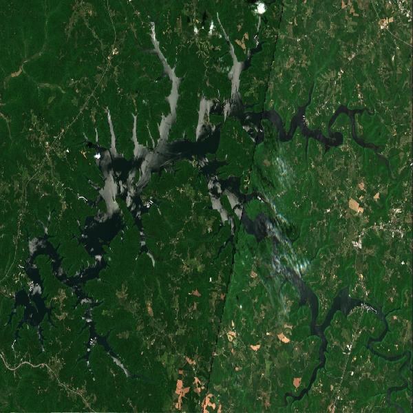 Dale Hollow Lake, KY water temperature, information and forecast