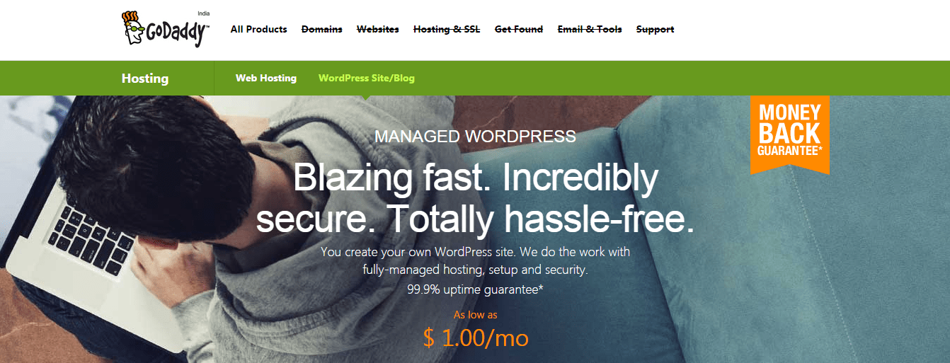 Bought Ultimate Managed WordPress Websites GoDaddy Co…
