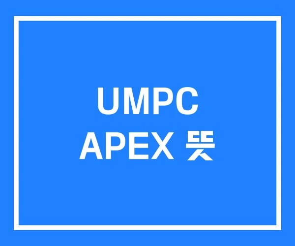 UMPC APEX 뜻