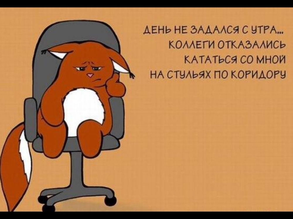 Ох, уж эта работа, все мы п... Анекдоты про работу, пусть ваше