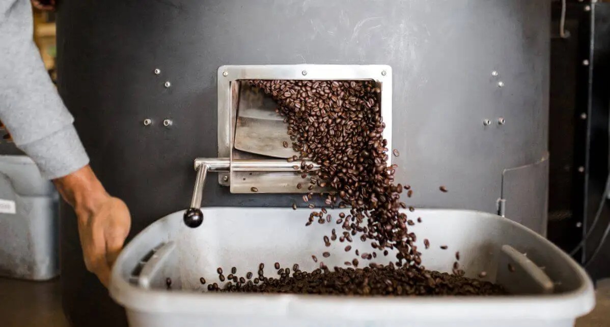 Loyal Food Machines Food Machines comprehensive Guide VRONNS