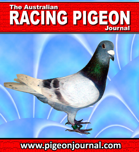 Victorian Racing Pigeon Union