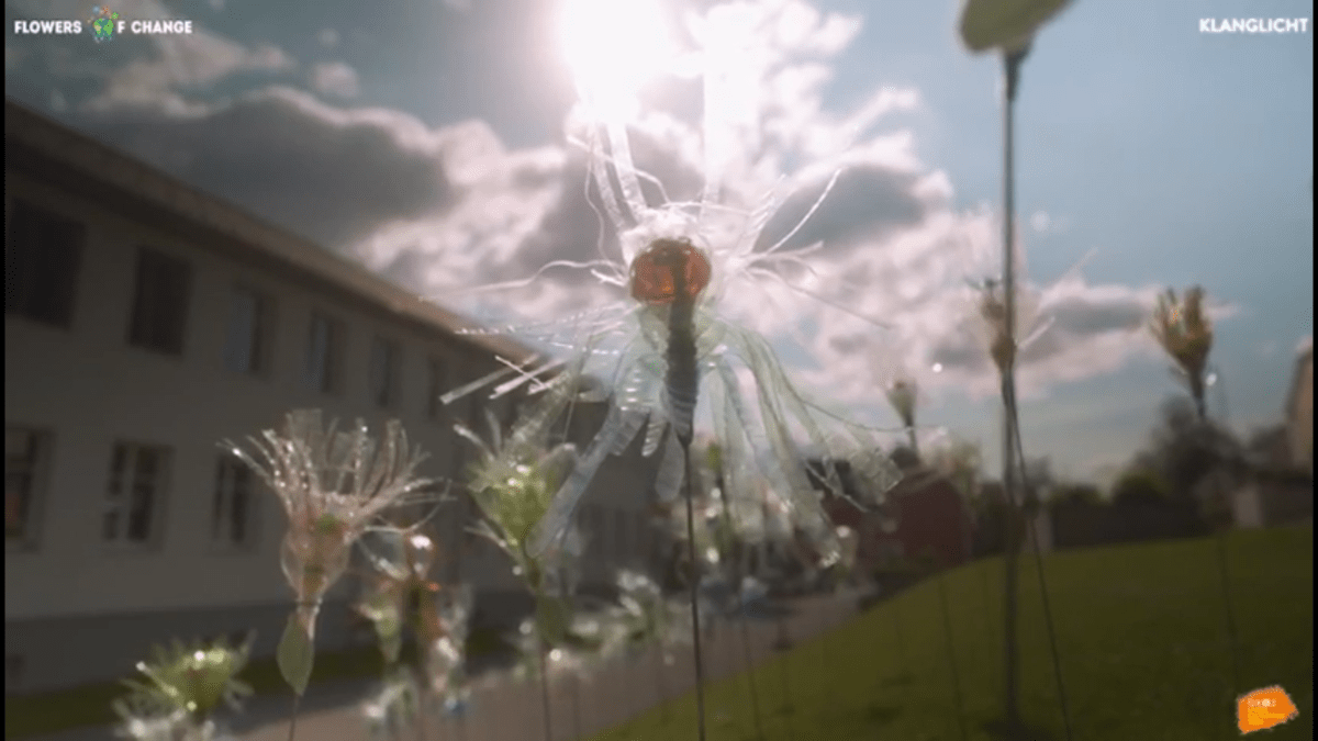 Flowers of Change Wir sind vorau(s)… Volksschule