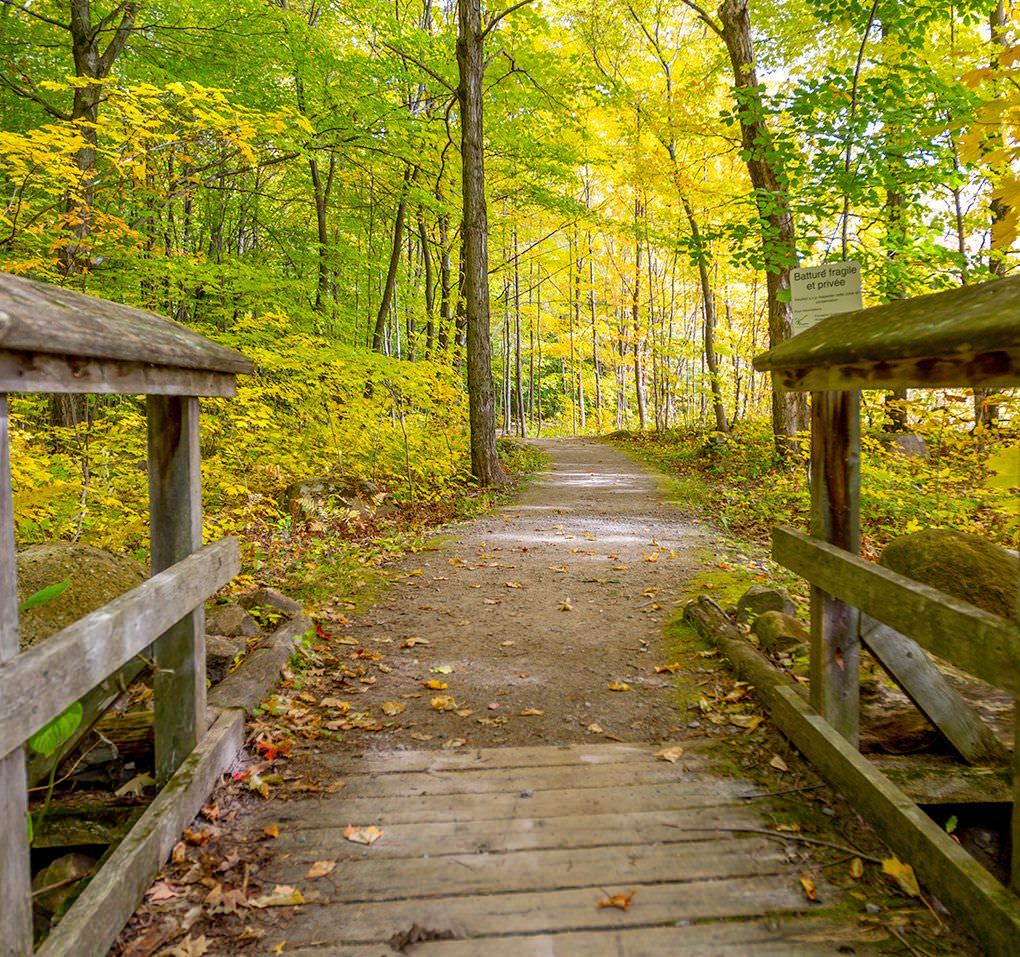 Ville de SaintAugustindeDesmaures Environnement