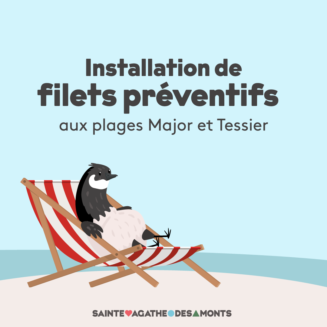 Installation de filets préventifs aux plages Major et Tessier Ville