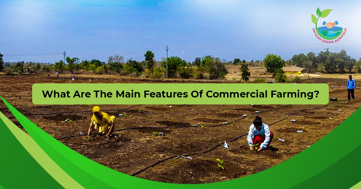 Advantages of investment in Agriculture Land Assets for Commercial