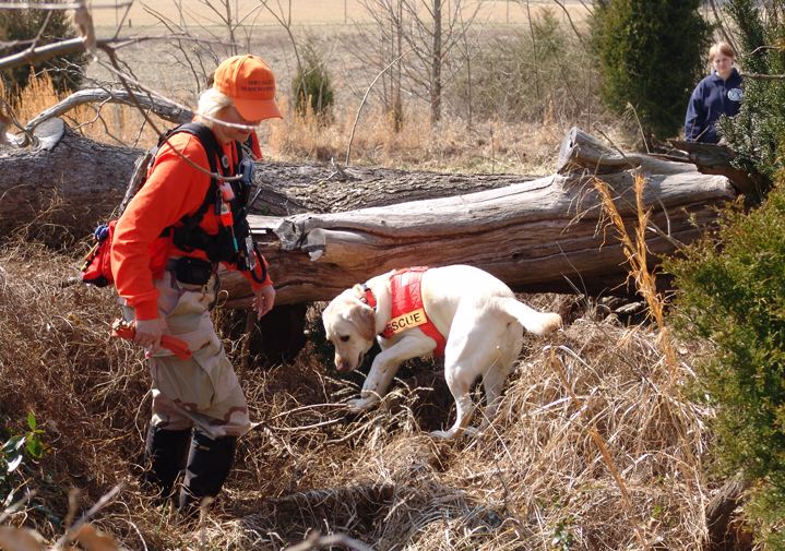 Canine Disaster Training at the Airport Evansville Indiana March 10, 2007