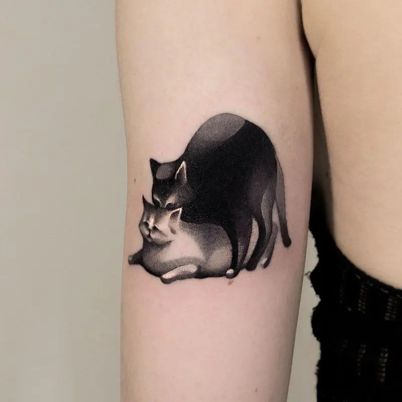 Cat Tattoo: 7 Meanings, 70 Best Photos And Sketches For Girls 800_x_800_jpg