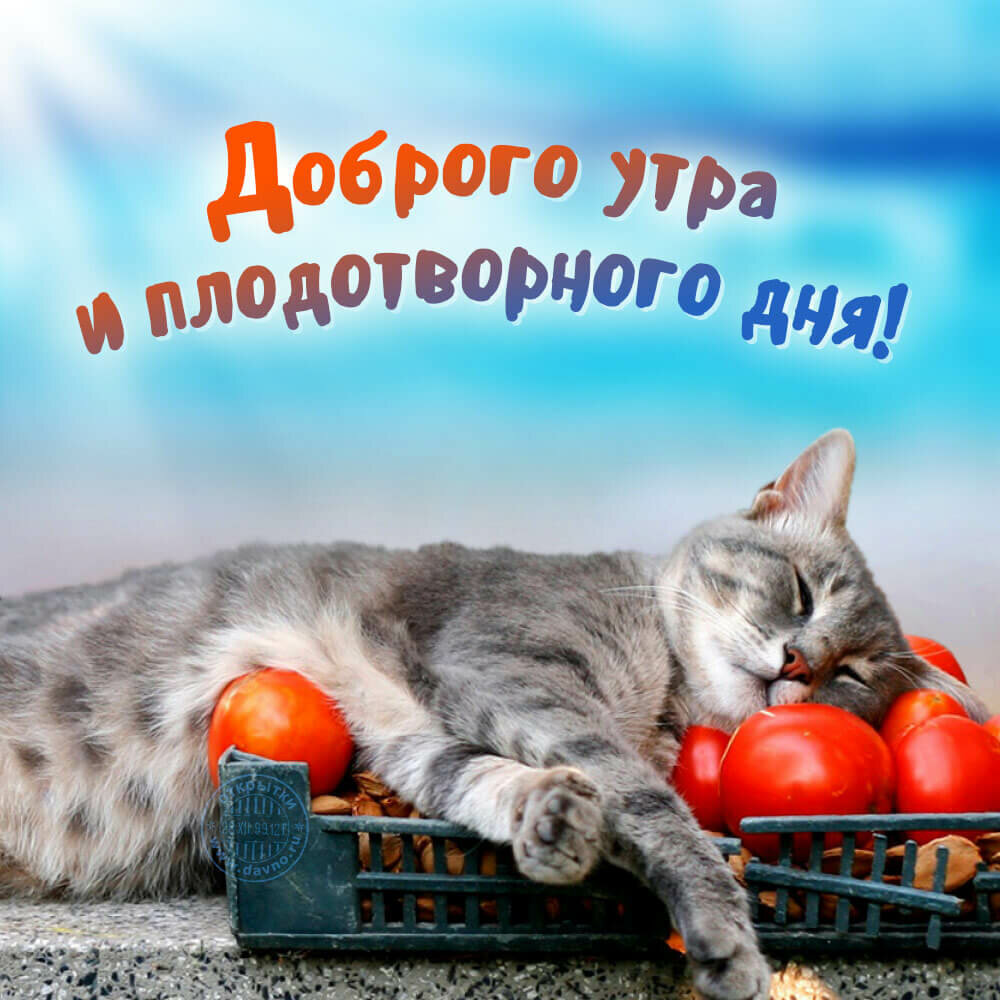 Пожелание доброго утра любимой жене своими словами
