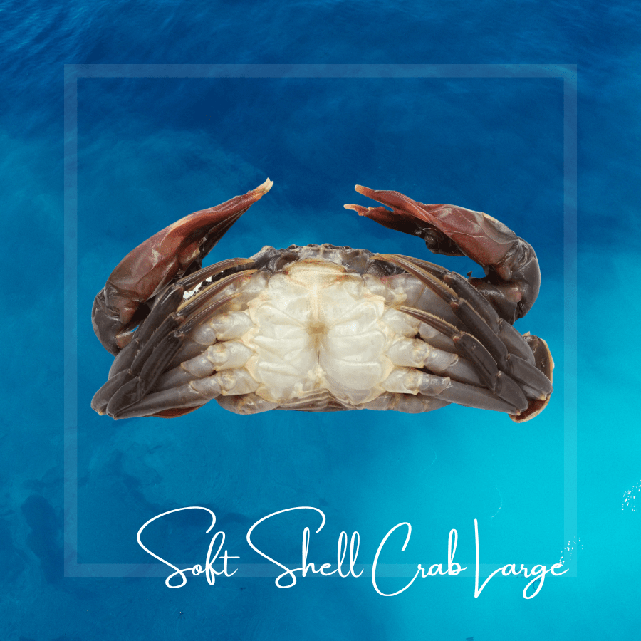 Soft Shell Crab (Large) VSF