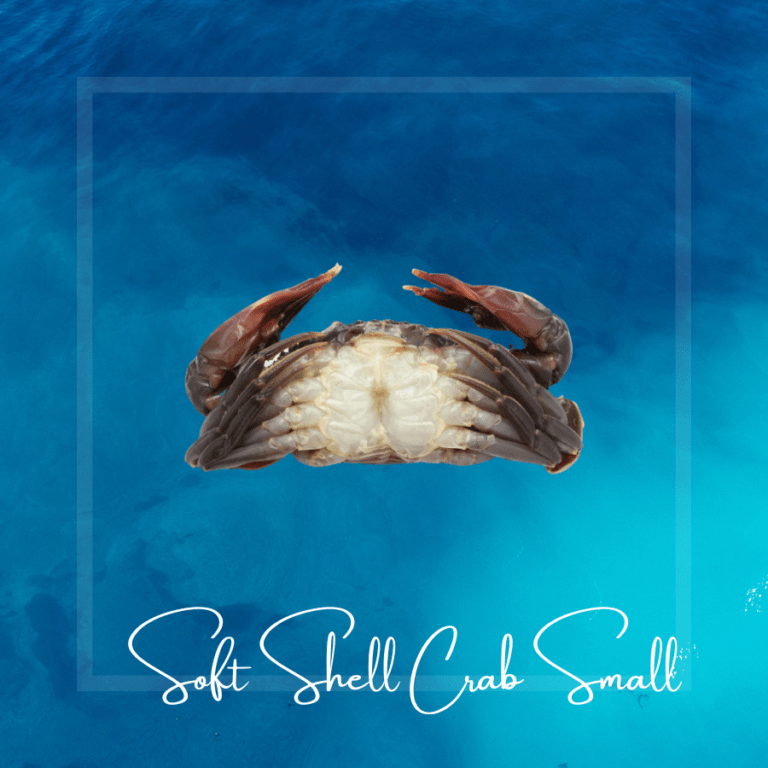 Soft Shell Crab (Small) VSF
