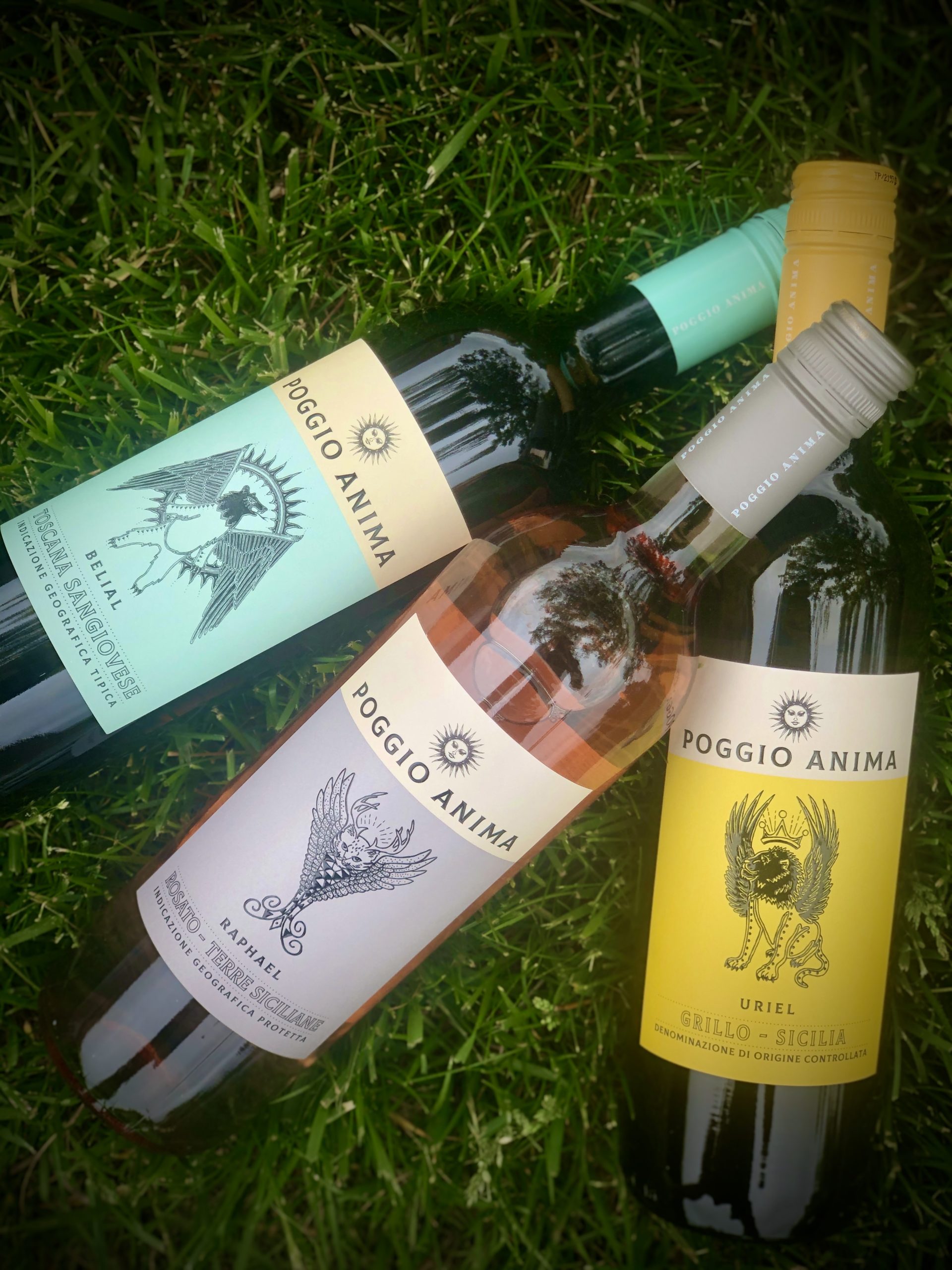 Wine Labels on Trend Food & Wine Magazine Vine Street Imports