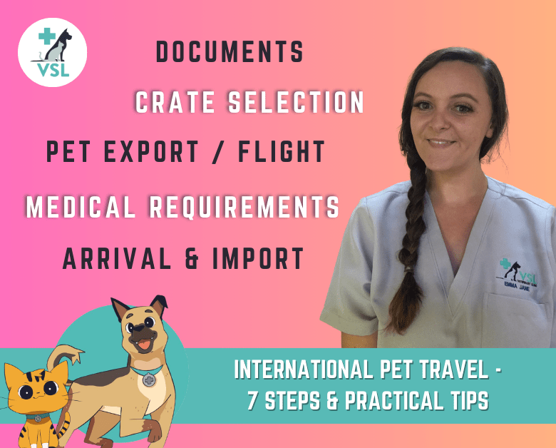International Pet Travel 7 Steps & Practical Tips VSL Veterinary Clinic