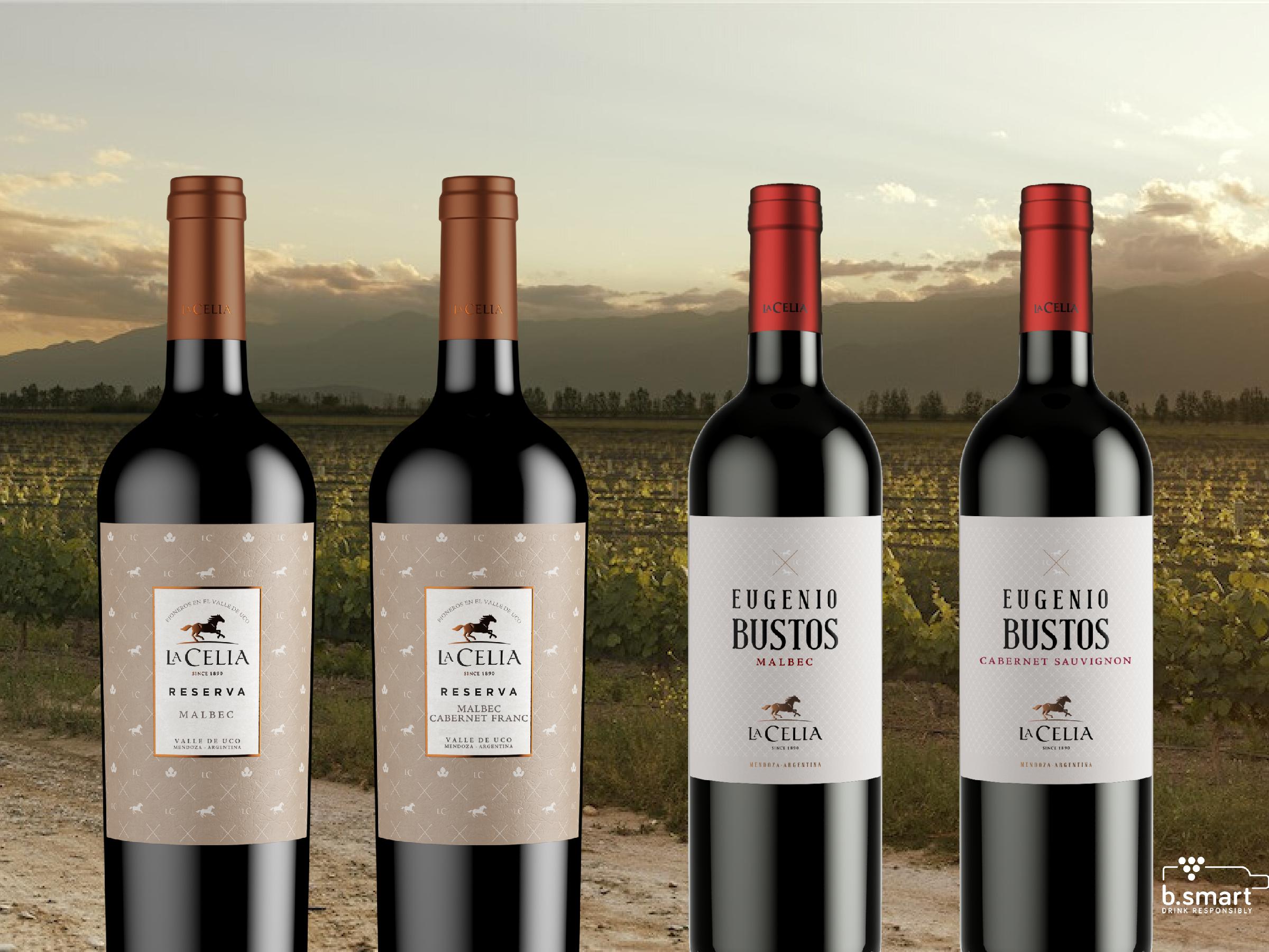 VSPT Wine Group Finca La Celia wines arrive in Uruguay
