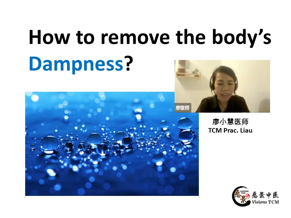 How to remove the body dampness? 【TCM Prac. Liao】 愿景中医诊所 Visions TCM