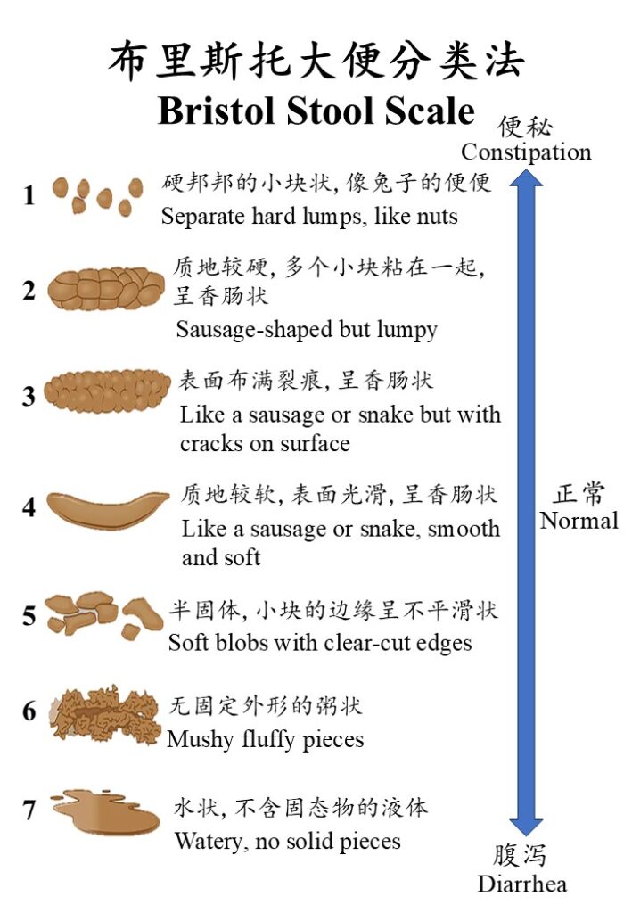 Healthy Bowel, Healthier You 愿景中医 Visions TCM