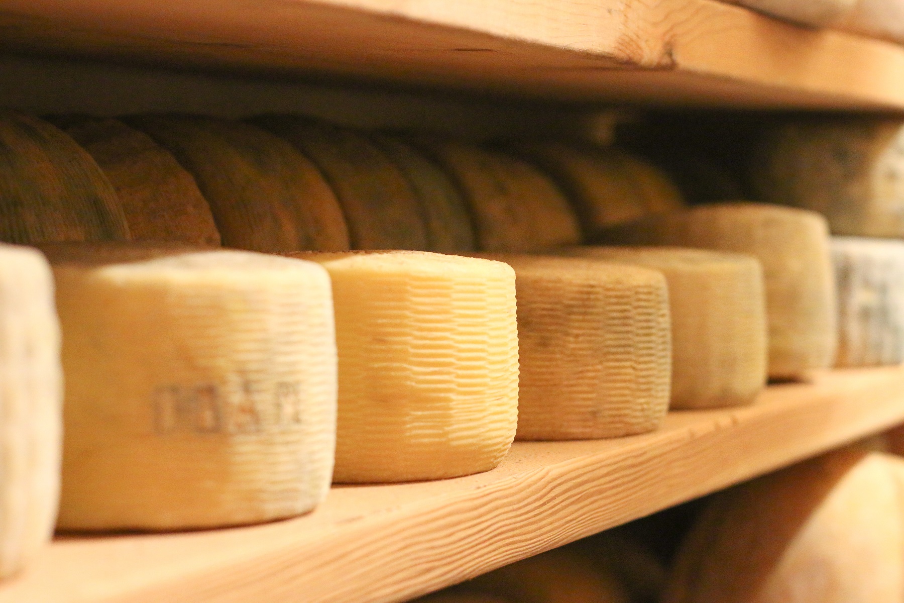 WHERE TO BUY Vermont Cheese Council