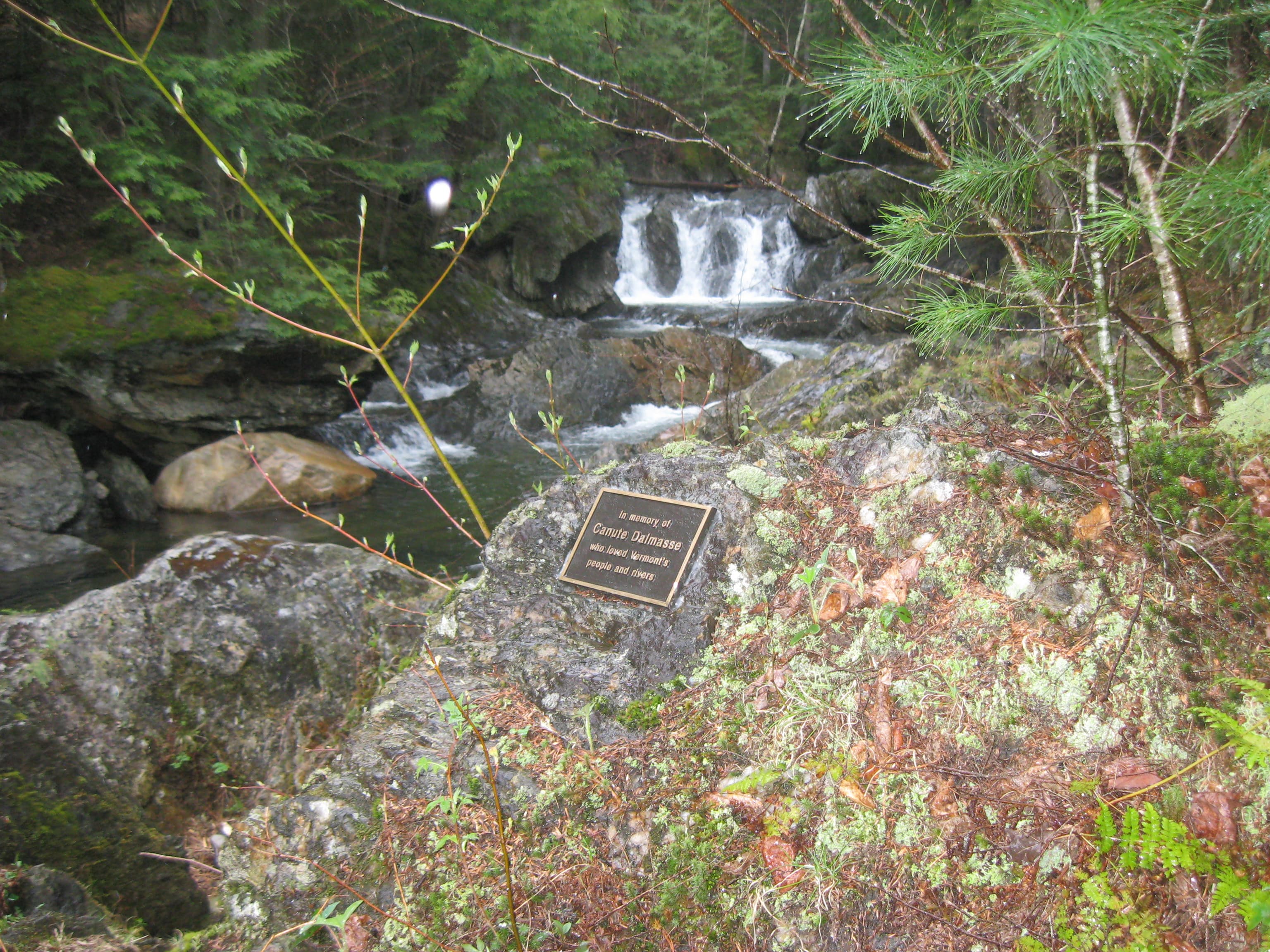 Journey's End in Johnson Association of Vermont Conservation Commissions