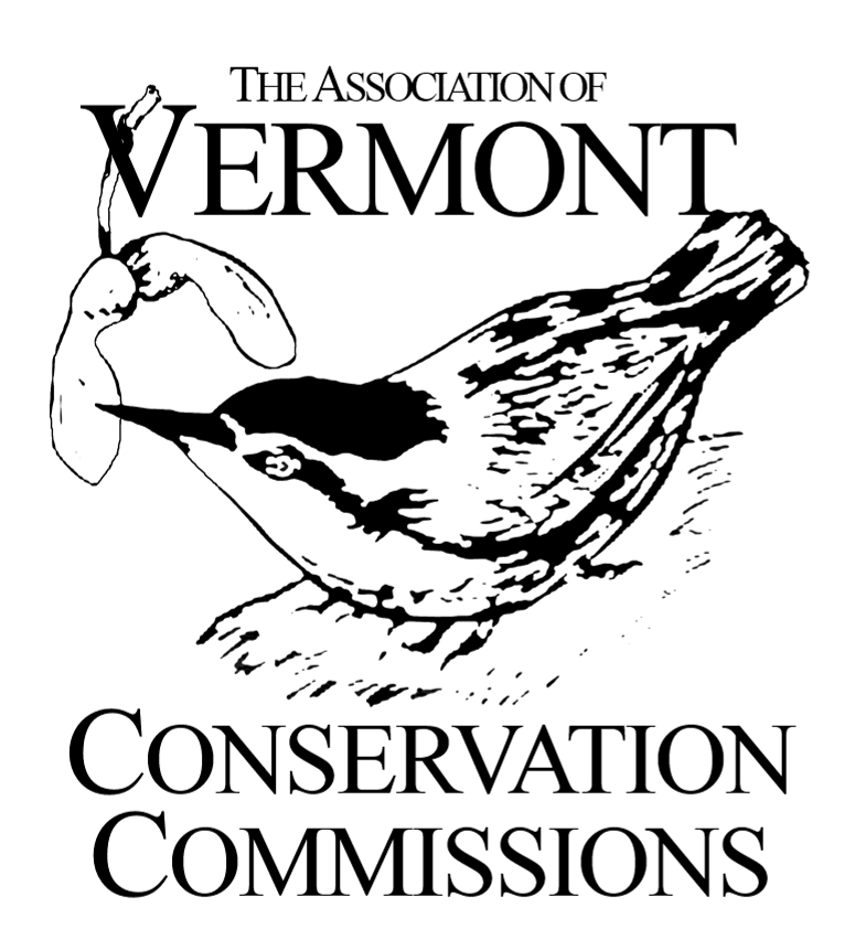AVCC is Looking for New Board Members Association of Vermont
