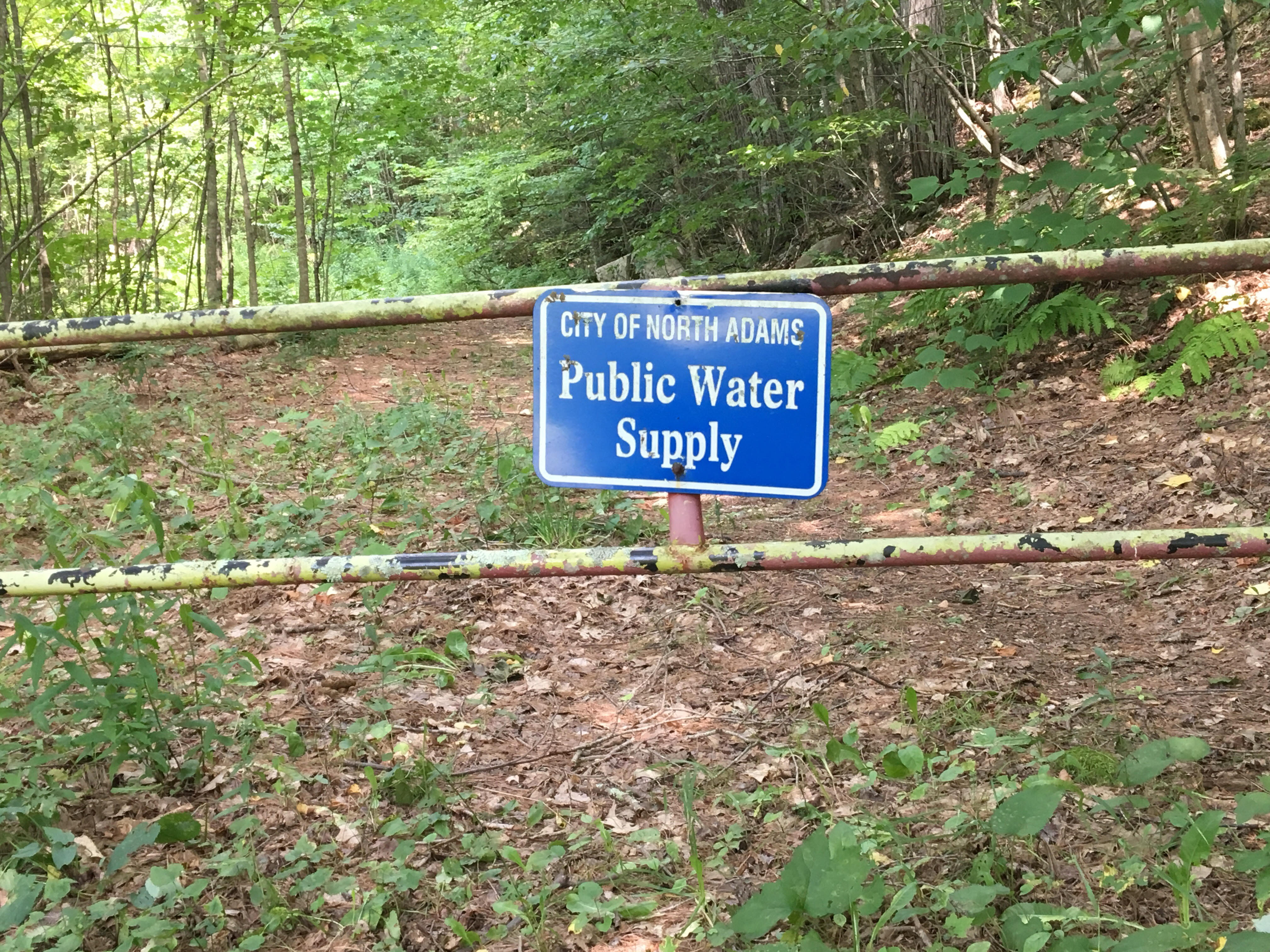 Pownal forestland near Appalachian Trail going up for sale VTDigger