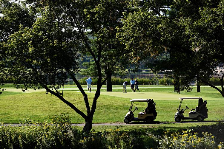 Hunters plan to cull goose population on Quechee golf course VTDigger