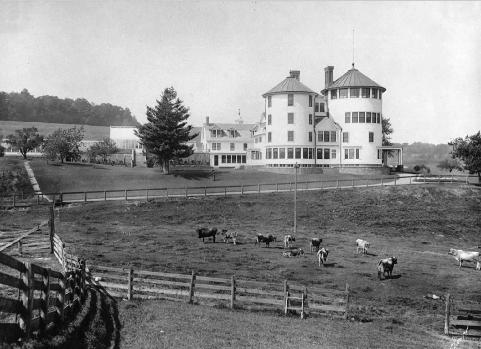 Then Again AT&T founder was also a gentleman farmer in Lyndon VTDigger