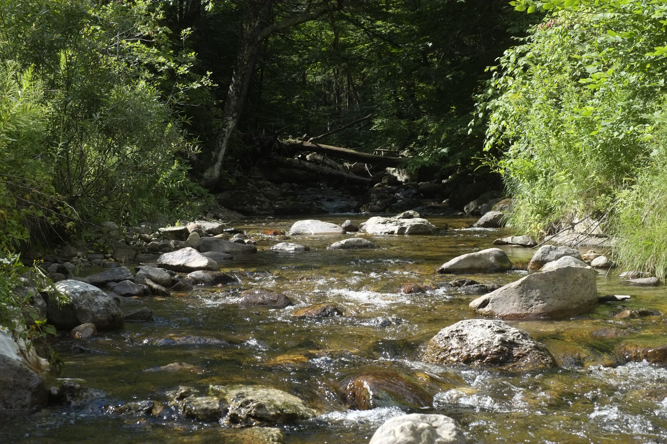 Ripton works to reclassify three streams in an effort to preserve them