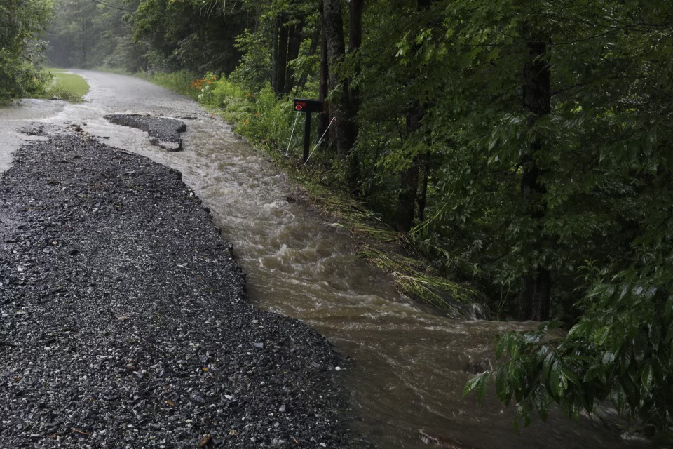 a flooded road in the woods.