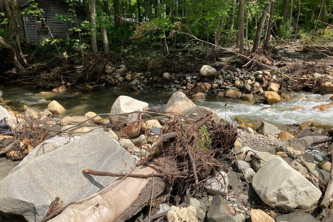 A stream in a wooded area with rocks and trees.