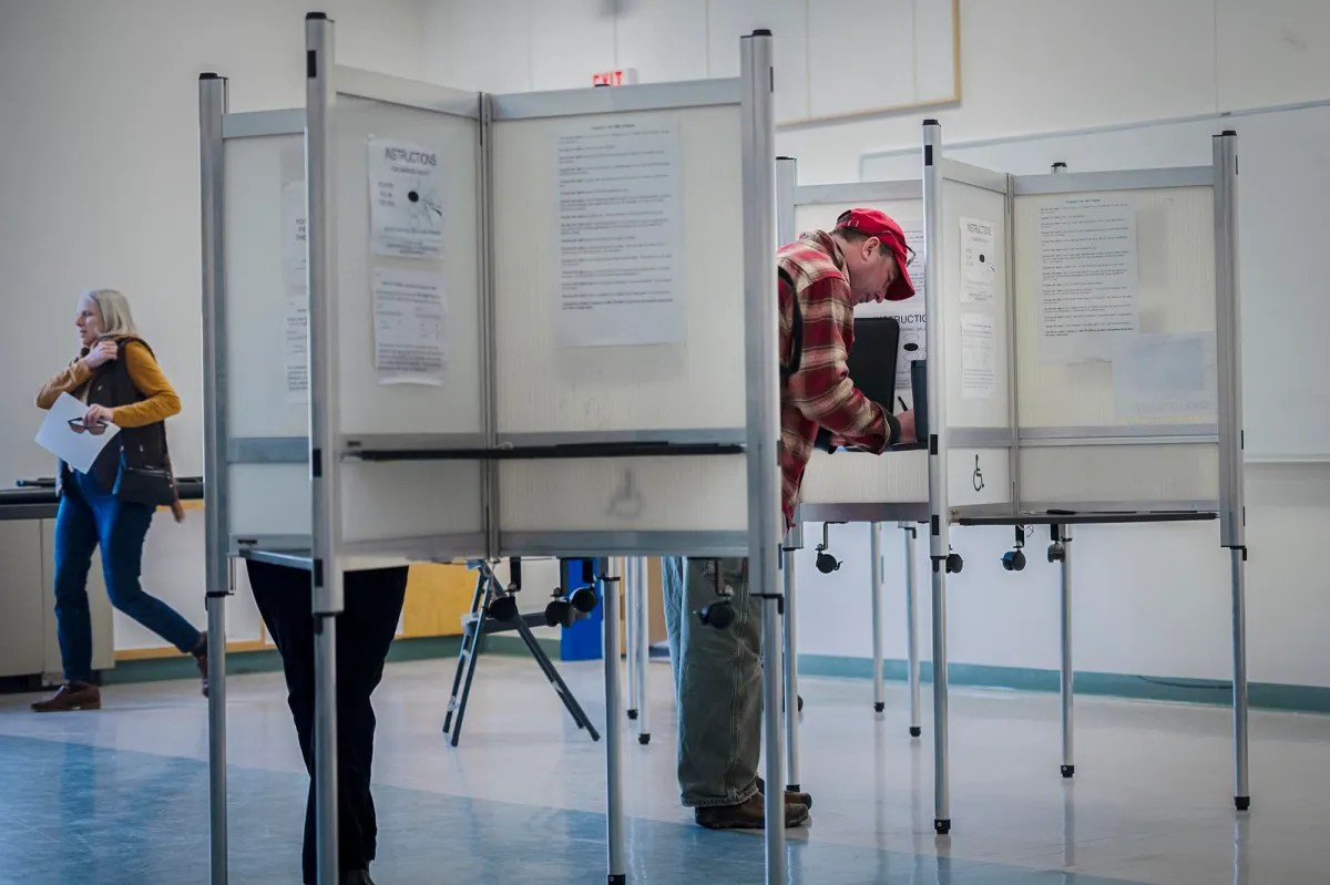 A group of people standing in front of voting booths.