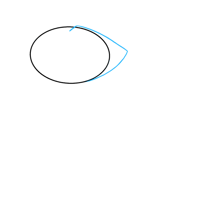 как нарисовать енота карандашом поэтапно для начинающих