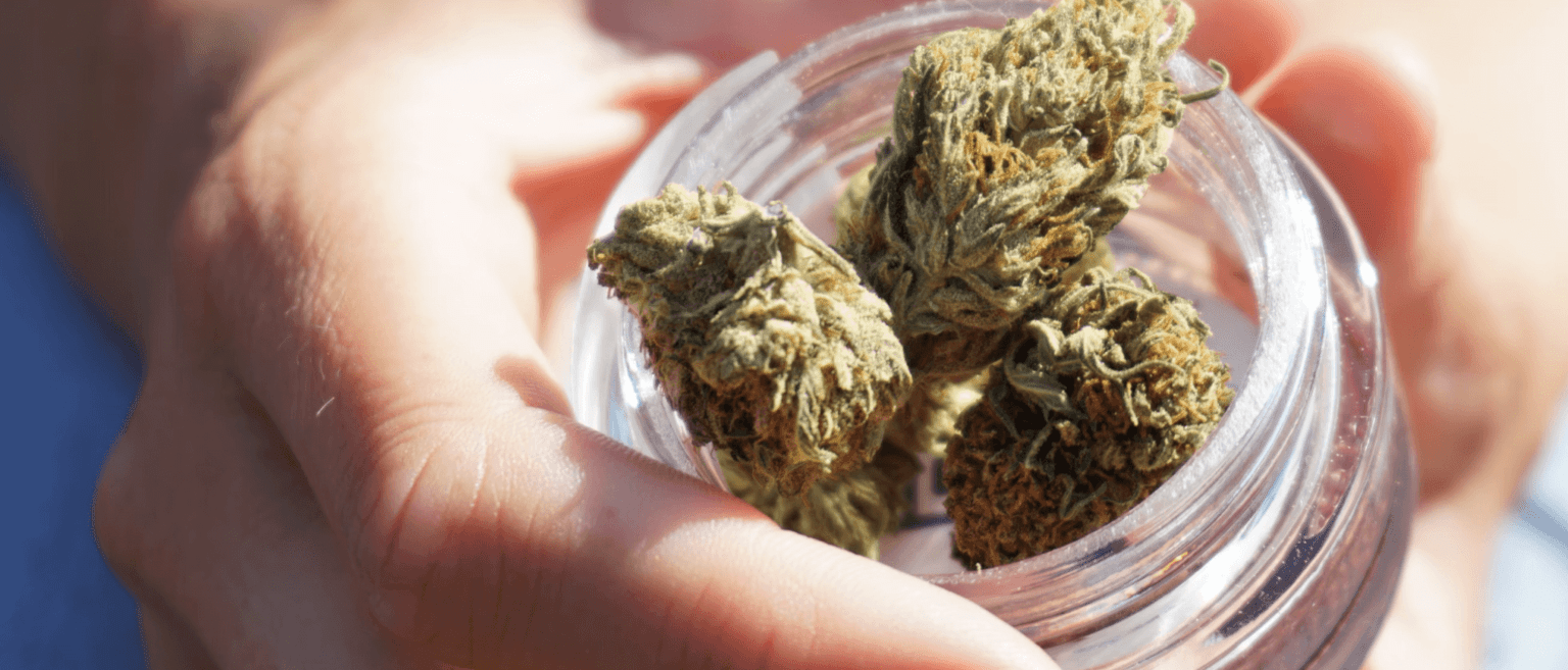 Your 1 Source for Vermont CBD Vermont Hempicurean