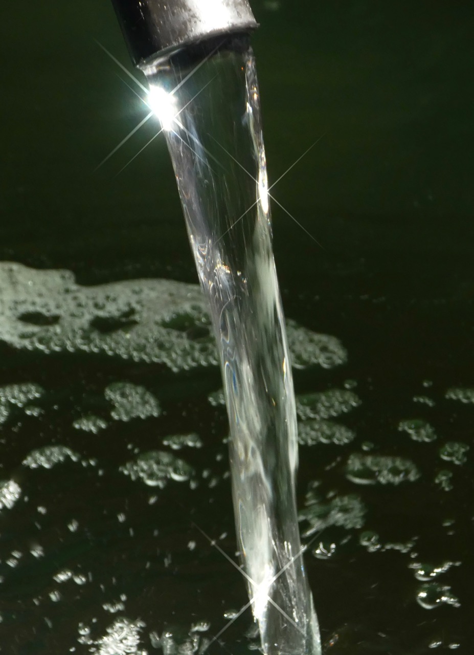 A Pilgrim Run The Nebraska Knoll Blog