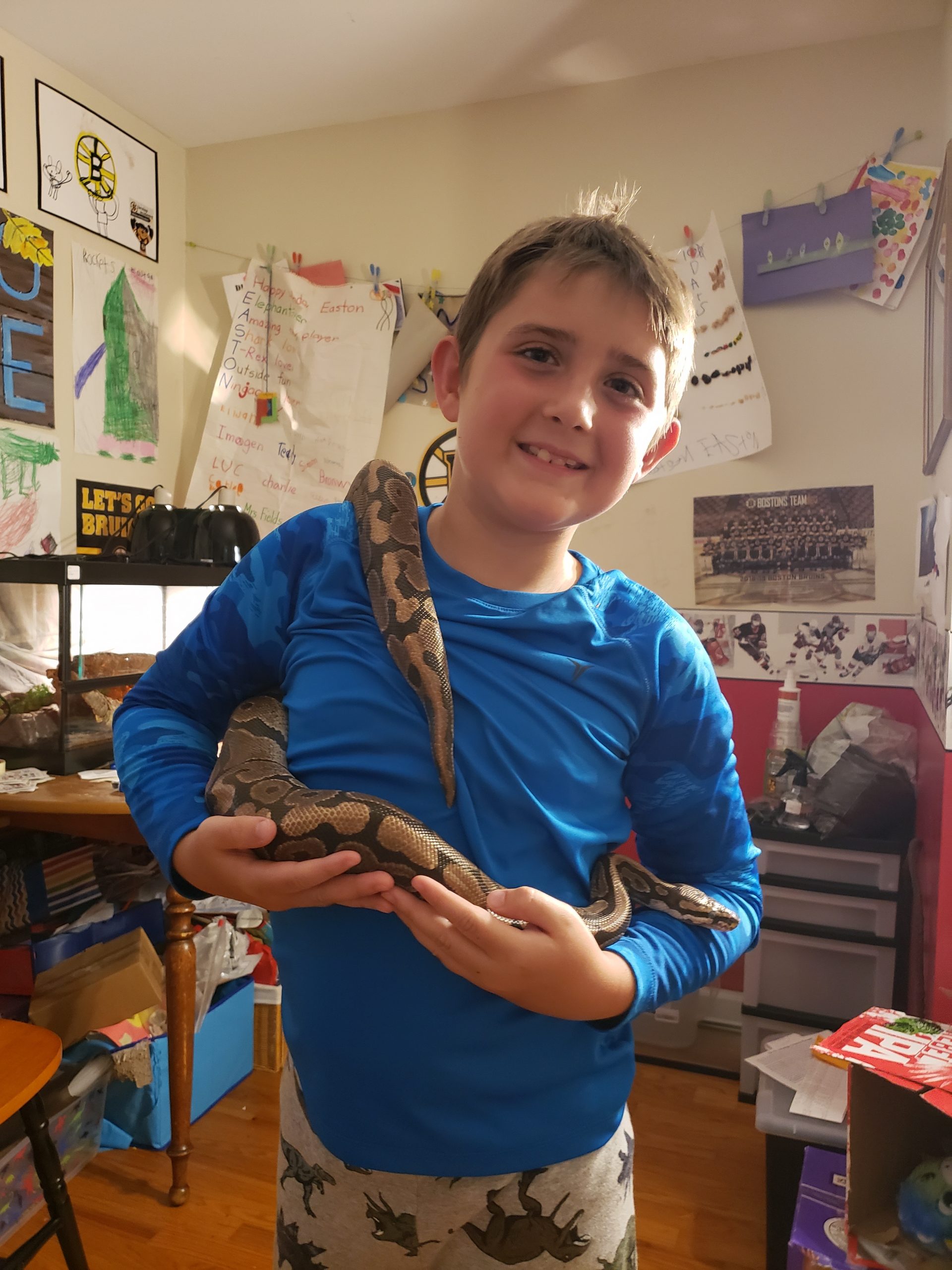 My Son's Pet Snake, And How I Learned To Love A Reptile