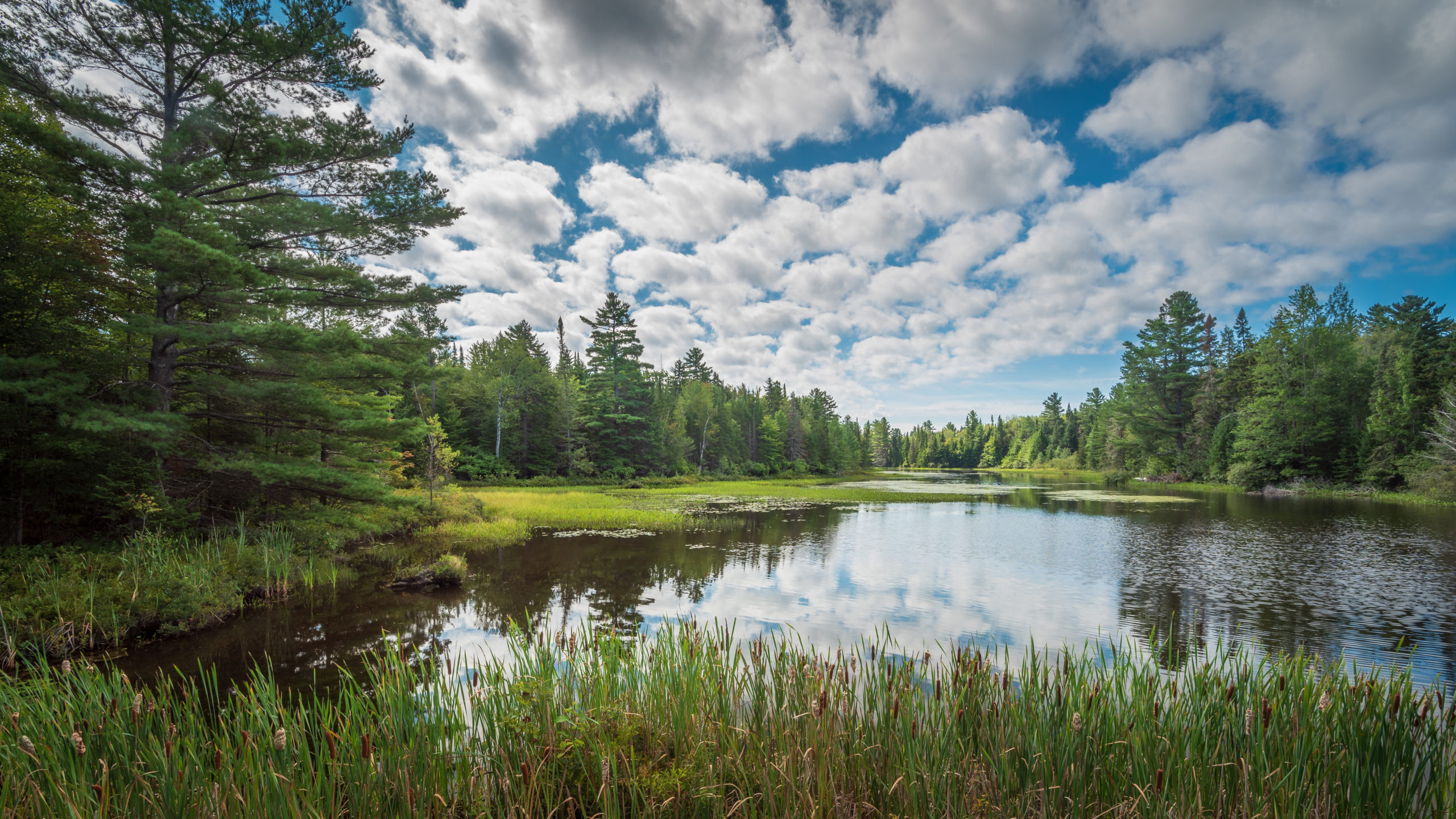 Paddling the ADK’s Lost Ponds with Bill McKibben Vermont Sports Magazine
