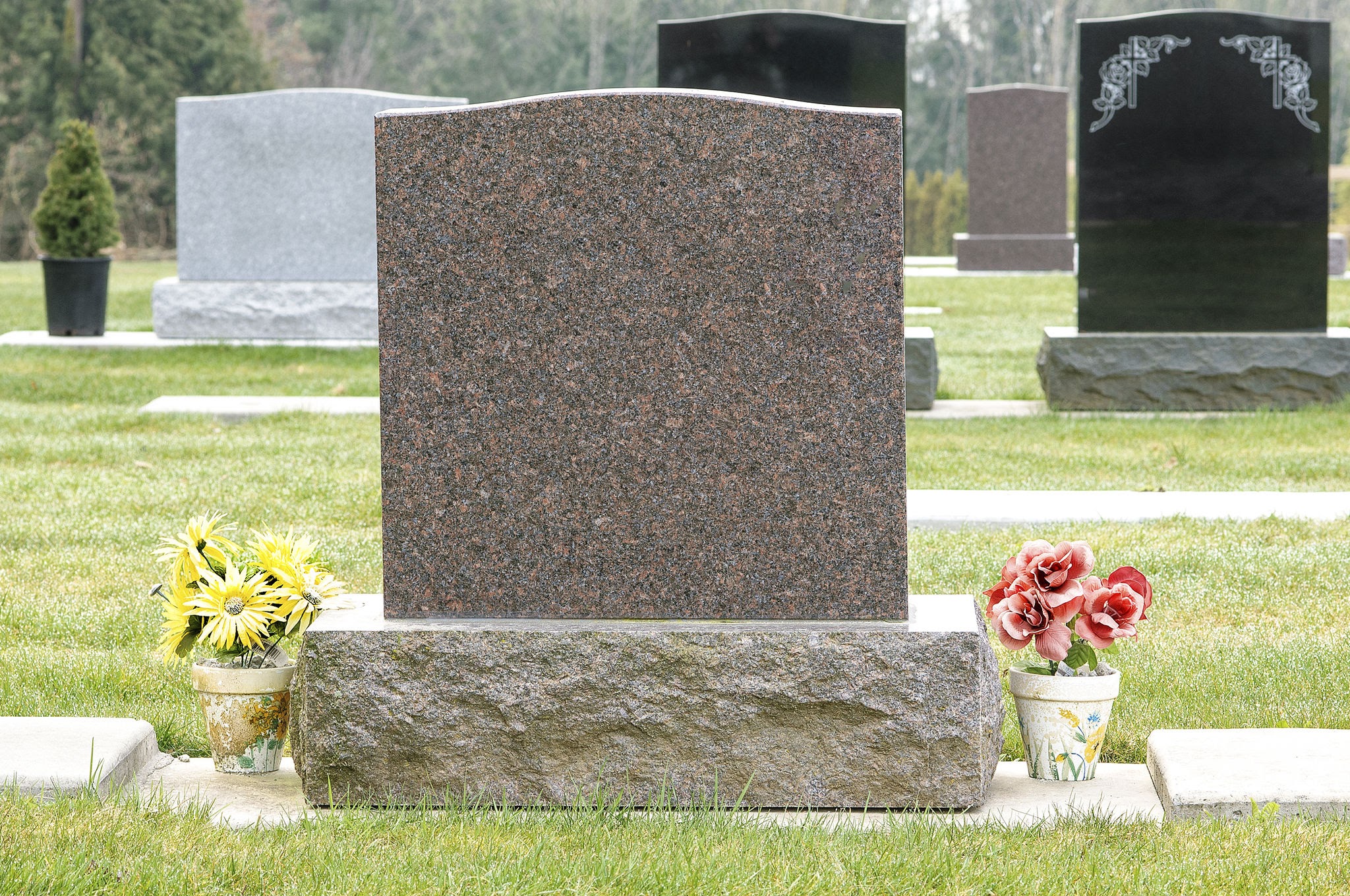 Vietnam Granite for monument / tombstone VT STONE