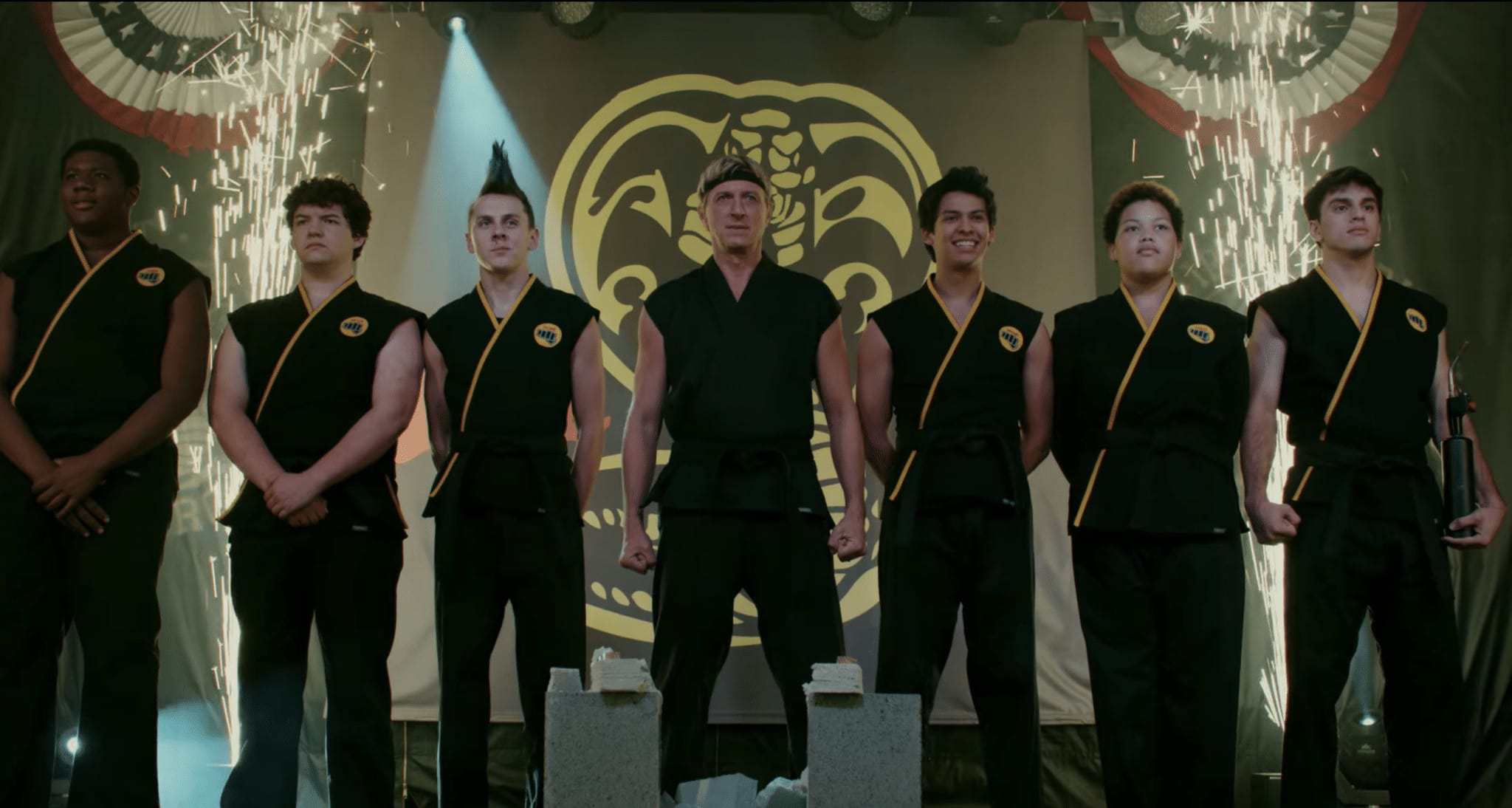 Cobra Kai, the karate kid sequel we deserve